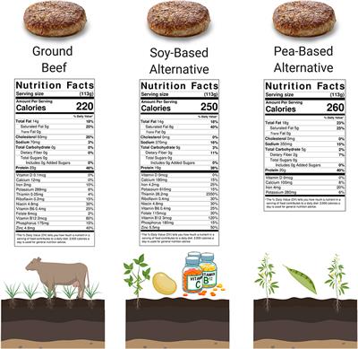 plant based meat research